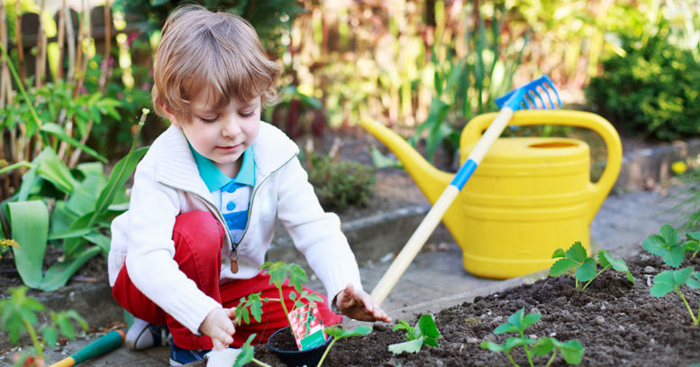 Organic Gardening